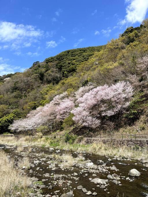 御浜岬の至福を一身に味わう 一軒家貸切宿で贅沢なバーベキューを楽しみながら夕陽に染まる戸田湾の美しさを満喫 Numazu Exteriér fotografie